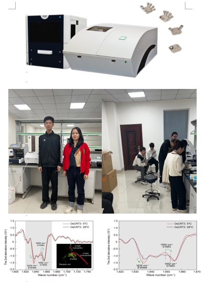 長沙理工大學.jpg